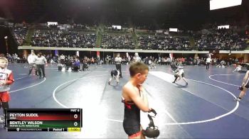 71 lbs Cons. Round 3 - Bentley Wilson, Moyer Elite Wrestling vs Peyton Sudol, Iowa