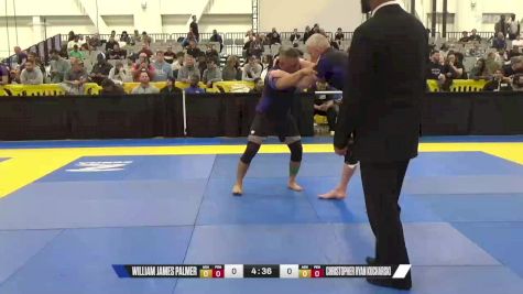 Christopher Ryan Kucharski vs William James Palmer 2024 World IBJJF Jiu-Jitsu No-Gi Championship