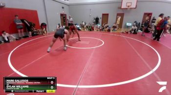 175 lbs Round 2 (6 Team) - Mark Gallegos, Panhandle Regional Training Center vs Dylan Williams, Kansas Silver