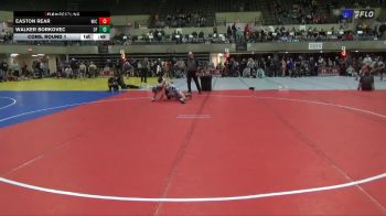120 lbs Cons. Round 1 - Easton Rear, RT Elite vs Walker Borkovec, Oconto Falls