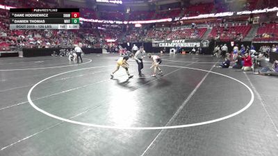 126 lbs Champ. Rd Of 16 - Dane Hodkiewicz, Shawano vs Damien Thomas, Whitnall