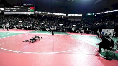 80 lbs Champ. Round 1 - Rush Landis, PROA vs Iraklis DiRienzo, SCRA