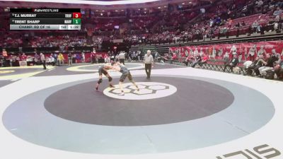 144 lbs Champ. Rd Of 16 - T.J. Murray, Troy vs Trent Sharp, Marysville