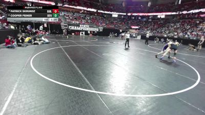138 lbs Champ. Rd Of 16 - Cooper Feiner, DeForest vs Patrick Skrundz, Burlington