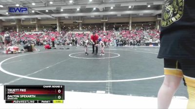 49 lbs Champ. Round 3 - Dalton Spexarth, Brawlers vs Truett Fike, Slyfox