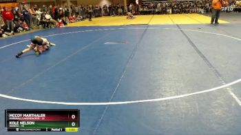 80 lbs Cons. Semi - Kole Nelson, Waseca vs McCoy Marthaler, Marshall/Lakeview/RTR