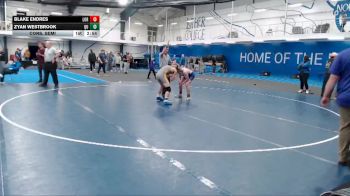 Silver 133 lbs Cons. Semi - Zyan Westbrook, Quincy vs Blake Endres, Loras
