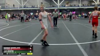 84 lbs Round 3 (8 Team) - Cam Renfer, Mat Assassins Grey vs Dominic DiGirolamo, Doughboys