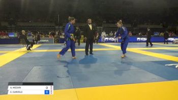 ANDRESSA MEZARI CINTRA vs CARINA CURVELO SANTI 2018 Pan Jiu-Jitsu IBJJF Championship