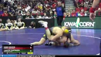 3A-160 lbs 1st Place Match - Carson Martinson, Southeast Polk vs Aiden Riggins, Waverly-Shell Rock