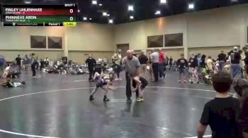 45 lbs Finals (2 Team) - Finley Uhlenhake, Iowa Silver vs Phinneas Aron, Tennessee Blue
