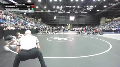 113 lbs Quarterfinal - Eric Vielhauer, Basehor-Linwood HS vs Gavin Munoz, Maize South