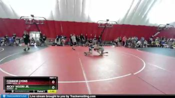 145 lbs Semis & 1st Wb (8 Team) - Ricky Wuori Jr., Bemidji vs Connor Lyons, LeRoy Gold