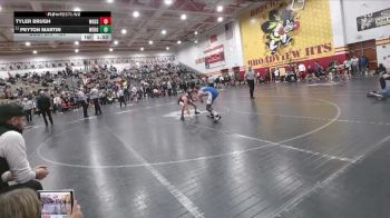 126 lbs Cons. Round 4 - Tyler Brugh, Wadsworth vs Peyton Martin, West Holmes