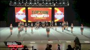 Top Gun All Stars - Boxer Babes [2026 D1 Mini Level 1 Medium Day 2] 2026 U.S. National Cheer & Dance Championship