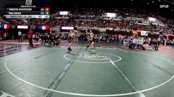 A - 150 lbs Cons. Round 3 - Gresyn Hostetler, Dawson County vs Boe Miles, Libby / Troy