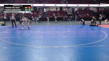 126 lbs Champ. Round 1 - Mason Christophel, Mountain View vs Presley Del Valle, Kuna