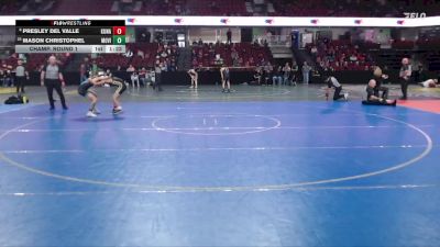 126 lbs Champ. Round 1 - Mason Christophel, Mountain View vs Presley Del Valle, Kuna