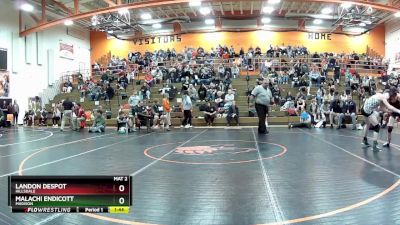 138 lbs Round 3 - MALACHI ENDICOTT, Madison vs Landon Despot, Hillsdale