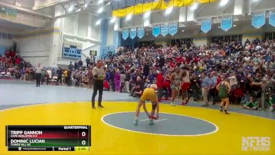 106 lbs Quarterfinal - Dominic Lucian, Tower Hill Hs vs Tripp Gannon, Cape Henlopen H S