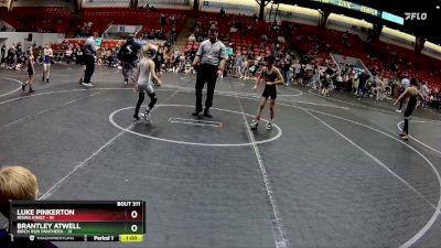 56 lbs Quarterfinal - Luke Pinkerton, Rising Kingz vs Brantley Atwell, Birch Run Panthera