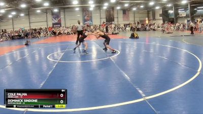 84 lbs Rd# 7- 10:45am Saturday Final Pool - Dominick Sindone, Gotcha Blue vs Cole Palma, Rebellion