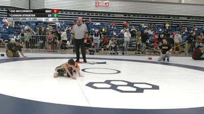 40 lbs Cons. Quarters - Carson Streeter, Alpha Elite Wrestling vs Gio McCormick, Michigan Matcat Wrestling Club