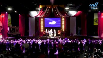 The Stingray Allstars - Purple [2024 L6 Senior - XSmall Day 1] 2024 ASC Battle Under the Big Top Grand Nationals