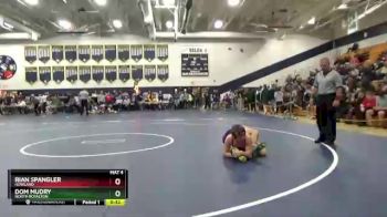 138 lbs Cons. Semi - Rian Spangler, Howland vs Dom Mudry, North Royalton