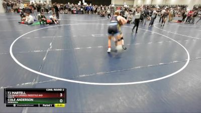 157 lbs Cons. Round 2 - Tj Martell, Colorado Springs Freestyle And Greco vs Cole Anderson, Nebraska