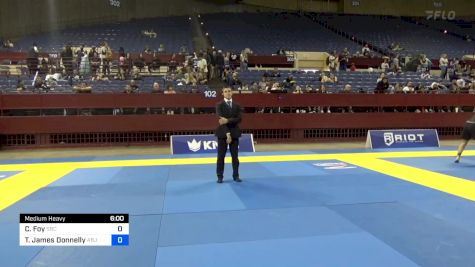 Christopher Foy vs Timothy James Donnelly 2024 Pan IBJJF Jiu-Jitsu No-Gi Championship