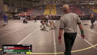 149 lbs Quarters & 1st Wb (16 Team) - Dom Findora, Drexel vs Steve Caday, CSU Bakersfield