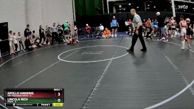 48 lbs Semis (4 Team) - Lincoln Rich, POWA vs Apollo Hawkins, Mat Assassins White