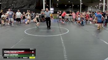 48 lbs Semis (4 Team) - Ethan Panyavuthilert, Warhawks Wrestling vs Brock Bateman, Dynasty National Team