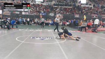 G - 100 lbs Quarterfinal - Peyton Liva, Butte (Girls) vs Reese Violett, Colstrip (Girls)