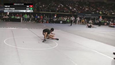 D 1 132 lbs Champ. Round 1 - Tus Le, Riverdale vs Randy Pham, Acadiana