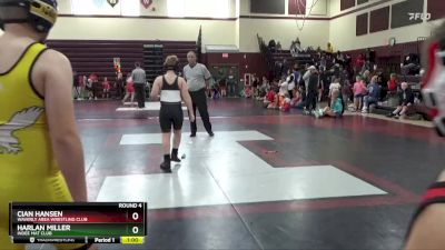 J-19 lbs Round 4 - Harlan Miller, Indee Mat Club vs Cian Hansen, Waverly Area Wrestling Club