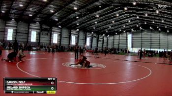 110 lbs 3rd Place Match - Ireland Simpson, Invicta Wrestling Academy vs Baileigh Self, Collinsville Wrestling Club