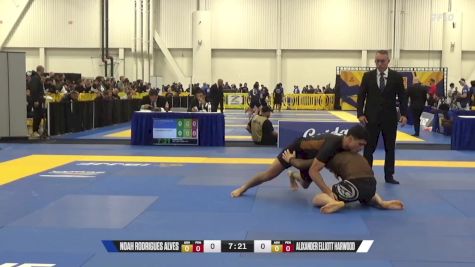 Alixander Elliott Harwood vs Noah Rodrigues Alves 2024 World IBJJF Jiu-Jitsu No-Gi Championship