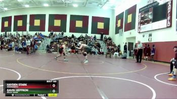 165 lbs Semifinal - Gavin Heffron, Rocky River vs Hayden Stark, Wadsworth