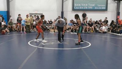 95 lbs Rr Rnd 6 - Aarian Jeter, Virginia Team Predator - BHS vs Dominik Coleman, M2 Training Center - BHS