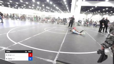 65 lbs Semifinal - Ayden Cruz, Vasky Bros vs Messias Sena, Top Notch