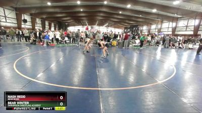 125 lbs Semifinal - Nash Redd, Bear River vs Bear Winter, Sanderson Wrestling Academy