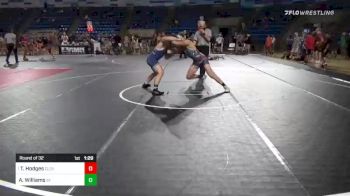 170 lbs Round Of 32 - Tyler Hodges, Clovis vs Aidan Williams, 3f