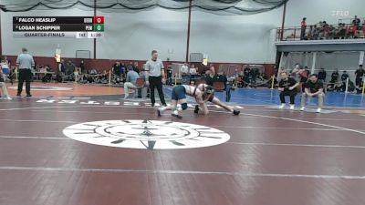 165 lbs Quarterfinal - Falco Heaslip, Dedham vs Logan Schipper, Pembroke