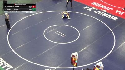 89 lbs Consi Of 16 #1 - Anthony Pieto, Southside Beaver vs Jerry Collins, Haverford