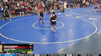 190 lbs Cons. Round 5 - Mason Meissner, Niagara Wheatfield vs Tristen Webb, Hamburg