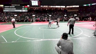 154 lbs Semifinal - Grady Hayden, AUT1 vs Brendan Davies, WSW1