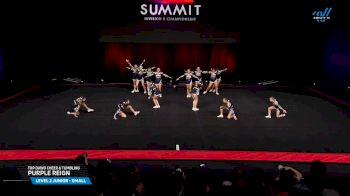 Top Dawg Cheer & Tumbling - Purple Reign [2025 L2 Junior - Small Prelims] 2025 The D2 Summit