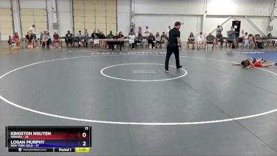 71 lbs Placement Matches (8 Team) - Kingston Nguyen, Virginia vs Logan Murphy, New York Gold